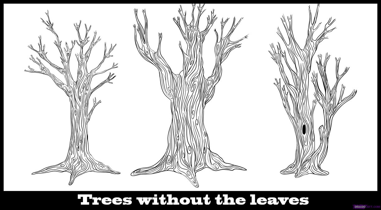 1222x674 How To Draw A Tree - Simple Tree Line Drawing