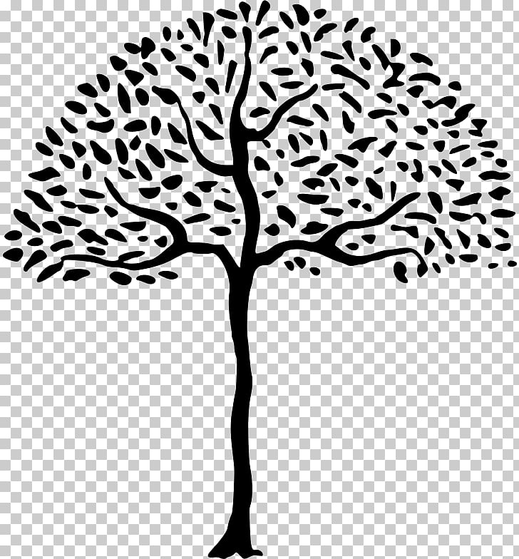728x784 Line Form Drawing Simple Tree Png Clipart Free Cliparts Uihere - Simple Tree Line Drawing