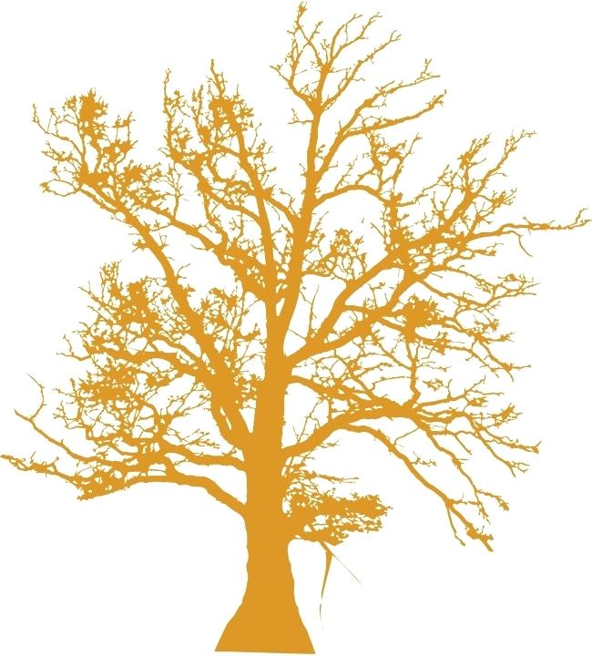 650x720 simple trees yellow simple trees yellow simple tree image - Simple Tree Line Drawing