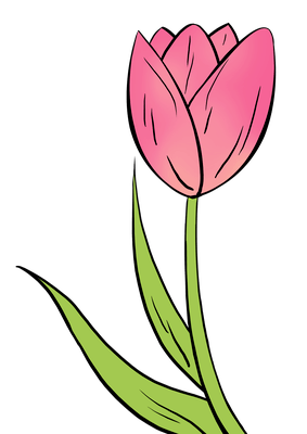 283x400 how to draw a tulip really easy drawing tutorial watercolor - Simple Tulip Drawing