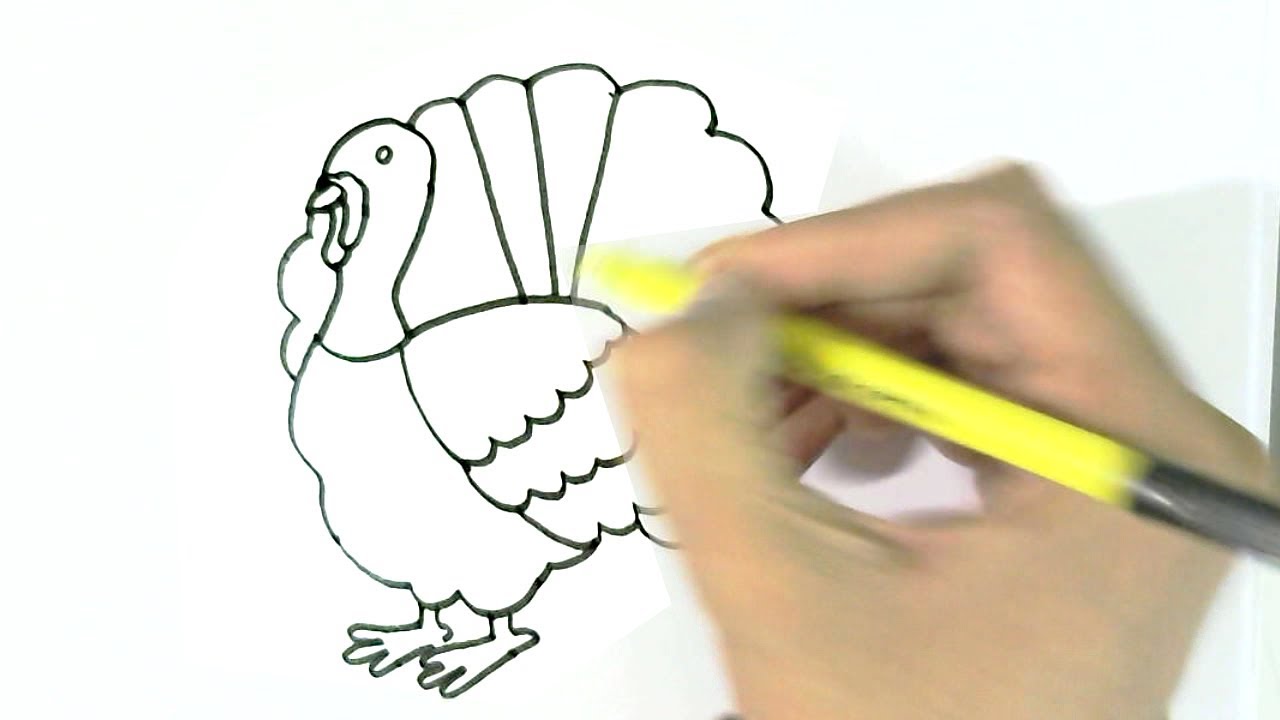 1280x720 How To Draw Turkey In Easy Steps For Children, Kids, Beginners - Simple Turkey Drawing