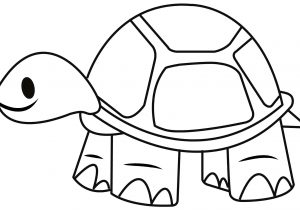 300x210 Turtle Simple Drawing - Simple Turtle Drawing