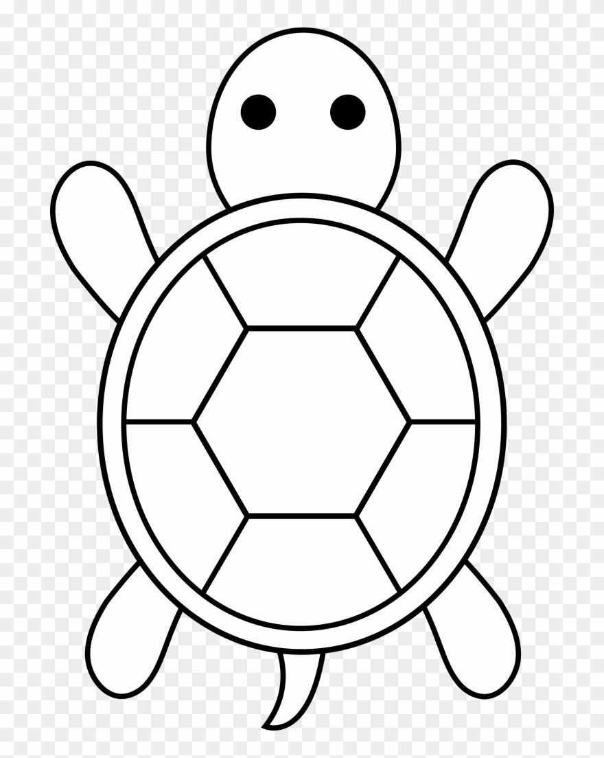 Simple Turtle Drawing at Explore collection of