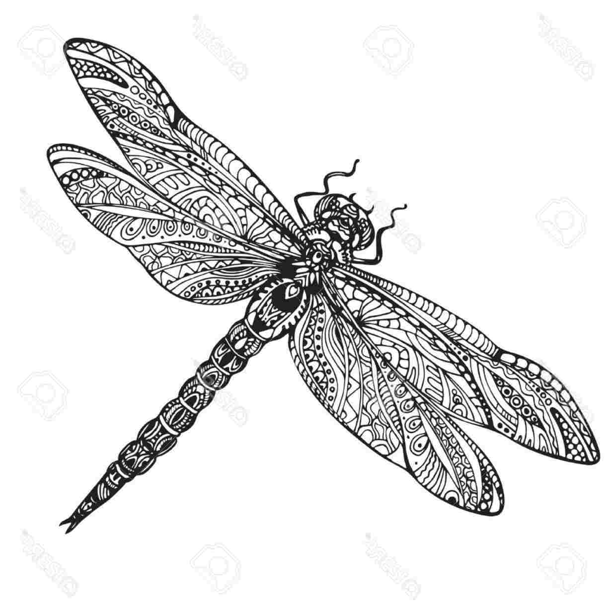 1232x1232 Vector Drawing Worksheet Preschool Kids Easy Stock Royalty - Simple Vector Drawing