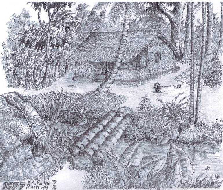770x657 Simple Village Life Drawing - Simple Village Drawing
