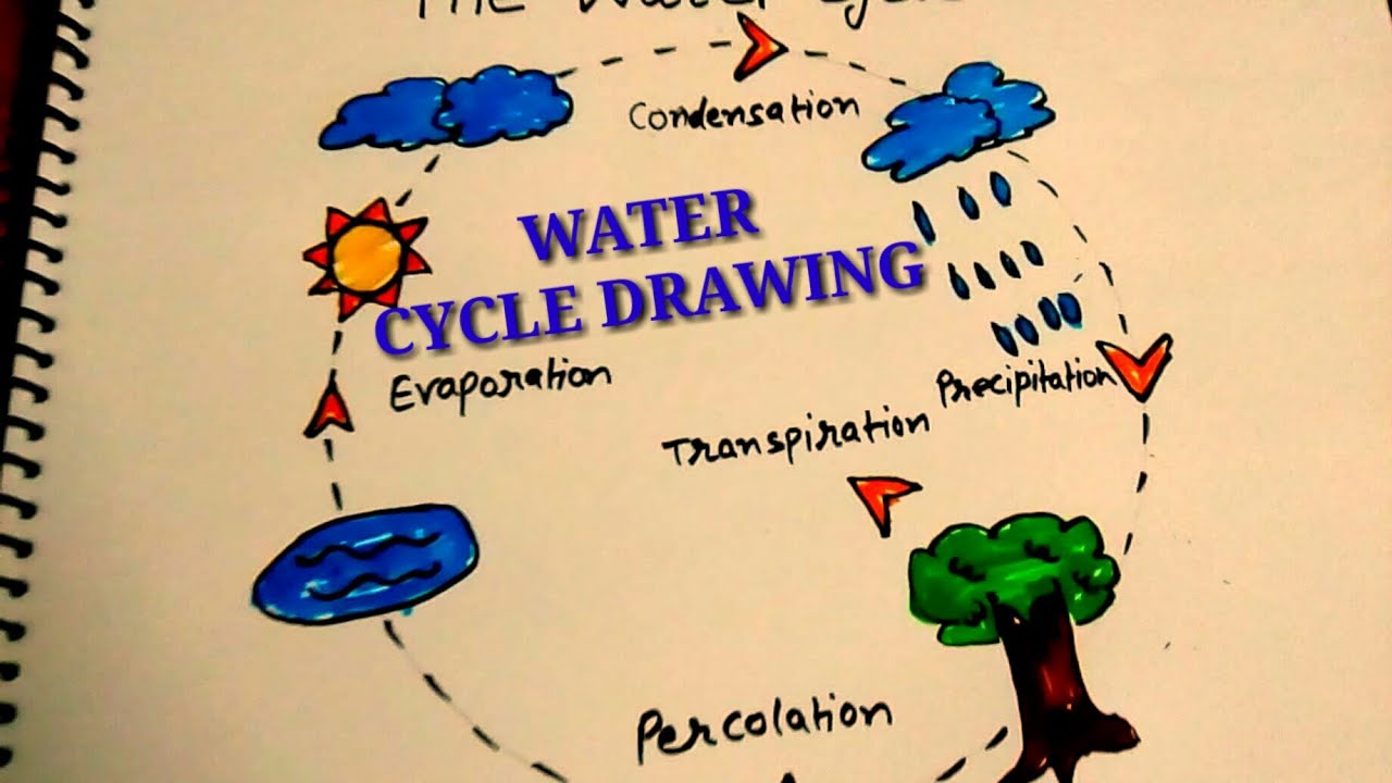 1280x720 water cycle drawing for kids easy step - Simple Water Cycle Drawing