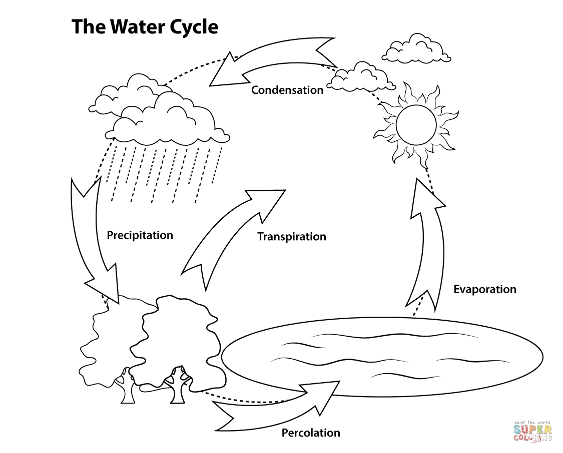 Simple Water Cycle Drawing at PaintingValley.com | Explore ...