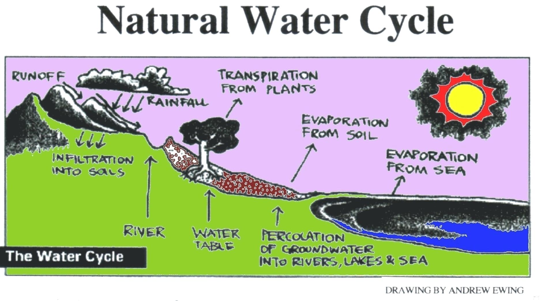 1890x1044 water cycle diagram simple water cycle archives creation science - Simple Water Cycle Drawing