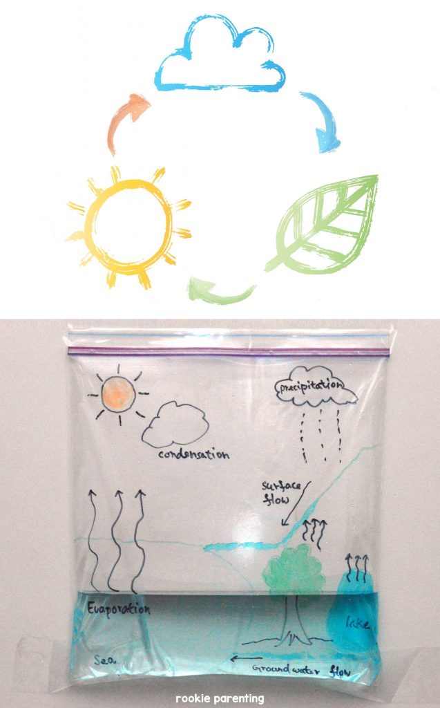 637x1024 Water Cycle - Simple Water Cycle Drawing