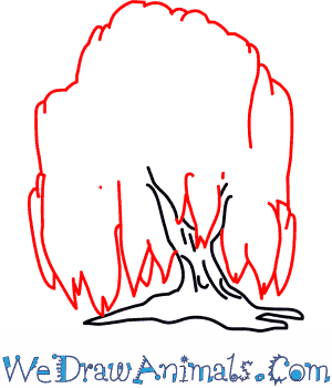300x350 How To Draw A Willow Tree - Simple Willow Tree Drawing