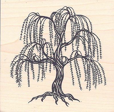 400x393 Primative Weeping Willow Tree Drawings Weeping Willow Tree - Simple Willow Tree Drawing