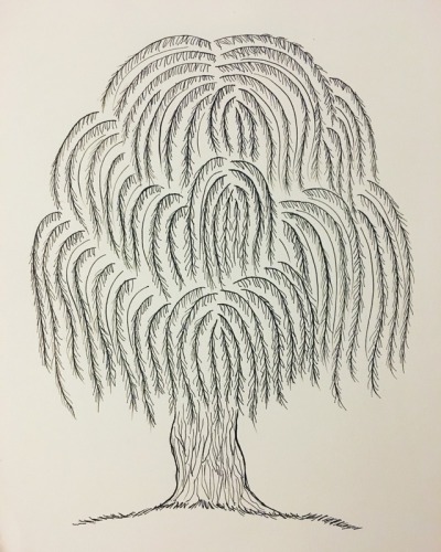 400x500 Tree Drawing Tumblr - Simple Willow Tree Drawing