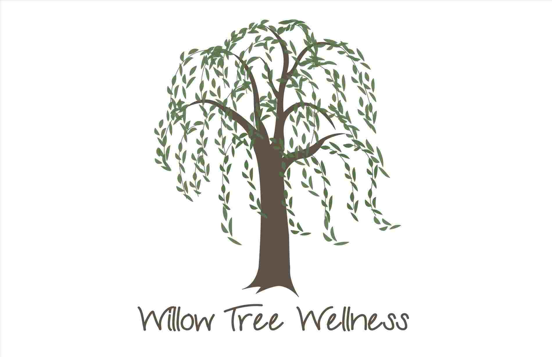 Simple Willow Tree Drawing at PaintingValley.com | Explore collection ...