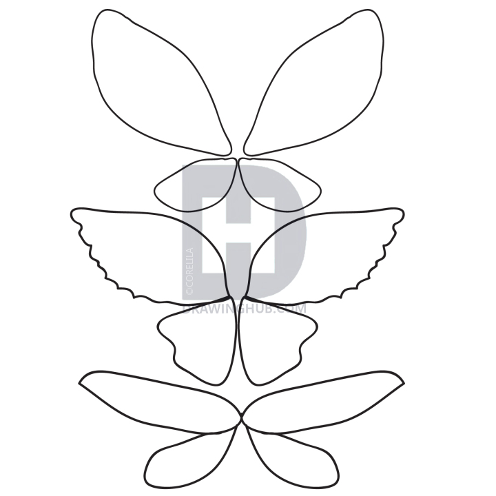 720x720 How To Draw Fairy Wings, Step - Simple Wings Drawing
