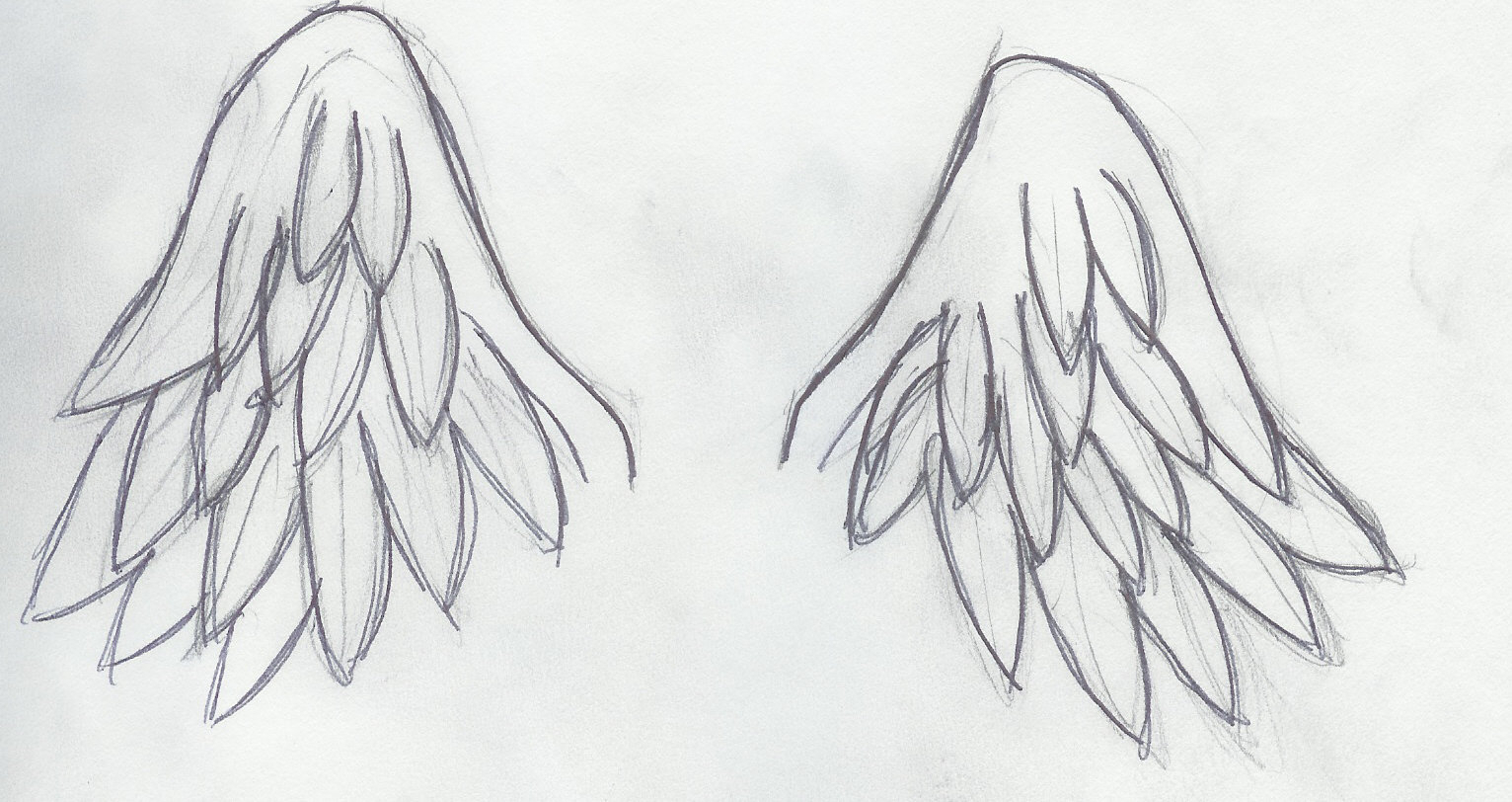 1532x812 how to draw simple wings simple angel wings drawing angel - Simple Wings Drawing
