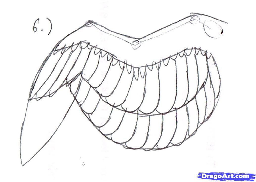 1034x737 How To Draw A Simple Bird Wing, Step - Simple Wings Drawing