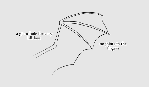 600x352 Taking Flight A Beginner's Guide Into Drawing Wings - Simple Wings Drawing