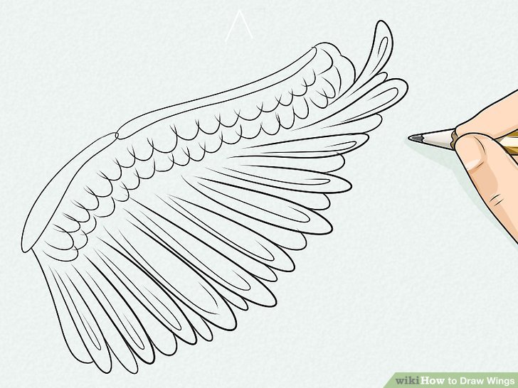 728x546 Ways To Draw Wings - Simple Wings Drawing