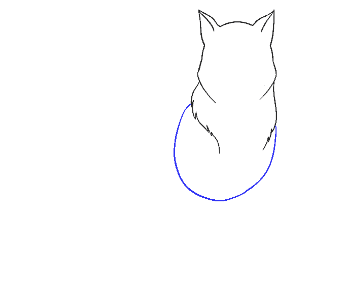 678x600 How To Draw A Wolf Easy Step - Simple Wolf Drawing