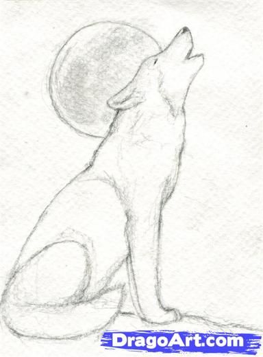 Simple Wolf Howling Drawing At Paintingvalleycom Explore