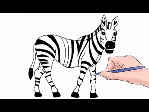 480x360 How To Draw A Zebra Easy Step - Simple Zebra Drawing
