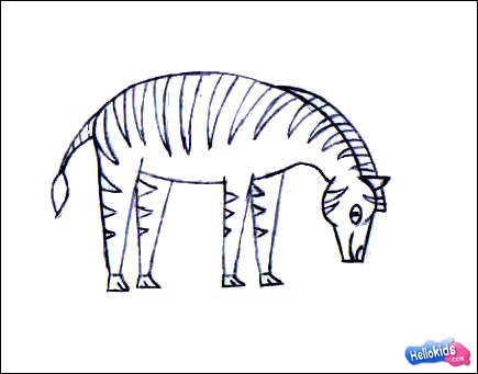 435x341 How To Draw Zebra - Simple Zebra Drawing