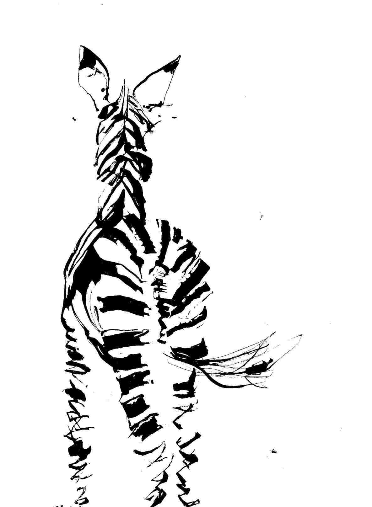 1185x1616 Simple Zebra Drawing - Simple Zebra Drawing