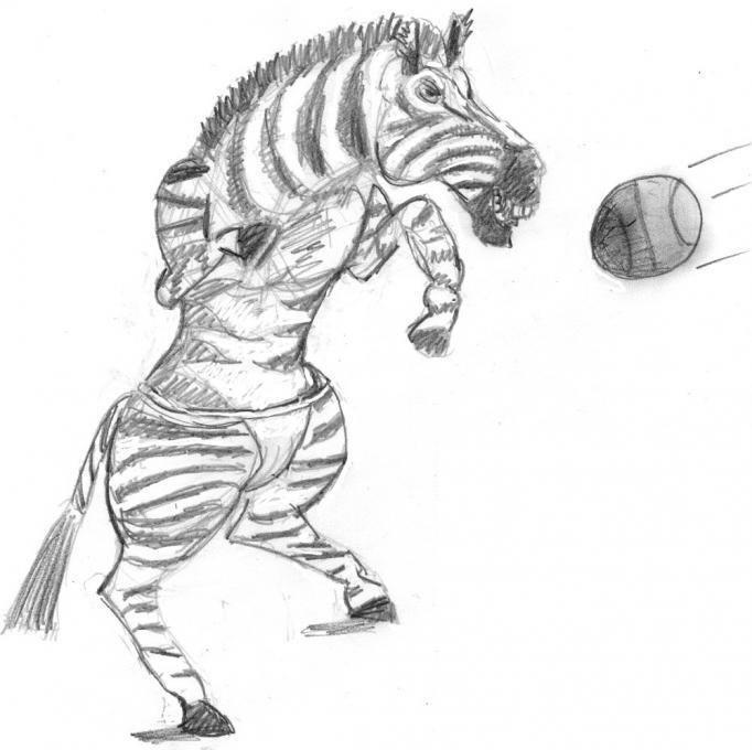 682x680 Zebra Beach Volleyball Nature Drawings Pictures Drawings Ideas - Simple Zebra Drawing
