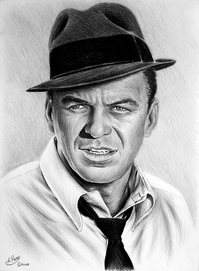 662x900 Frank Sinatra Celebrity Drawings I In Cool Pencil - Sinatra Drawing