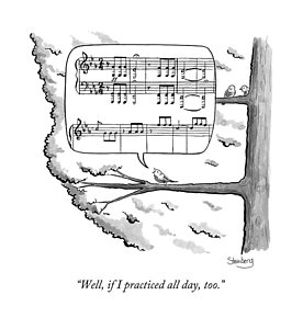 276x300 singing bird drawings fine art america - Singing Bird Drawing