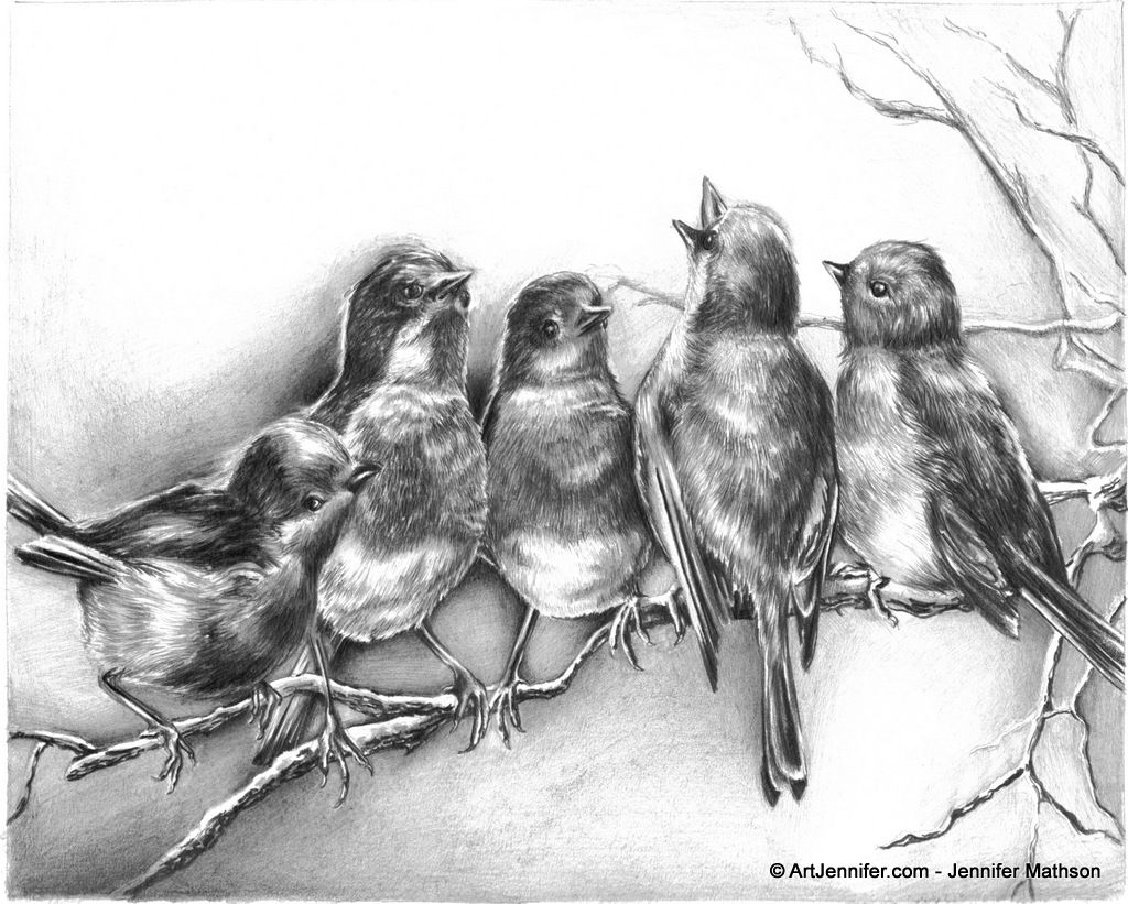 1024x821 sketch of bird singing singing birds drawing pretties - Singing Bird Drawing
