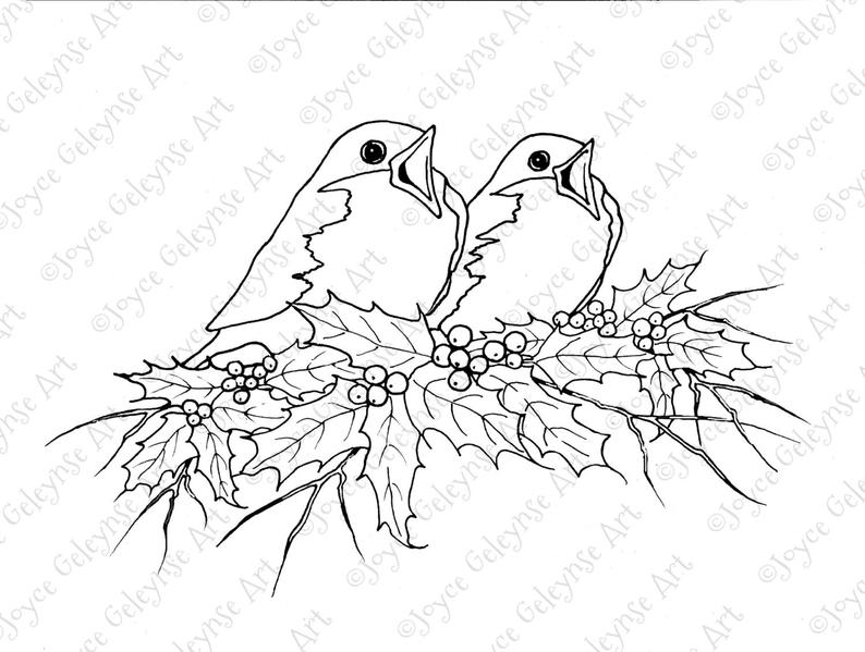 794x599 digital stamp clip art christmas singing birds and holly etsy - Singing Bird Drawing