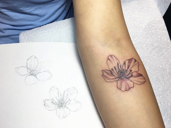 595x444 Cherry Blossom Forearm Tattoo - Single Cherry Blossom Drawing