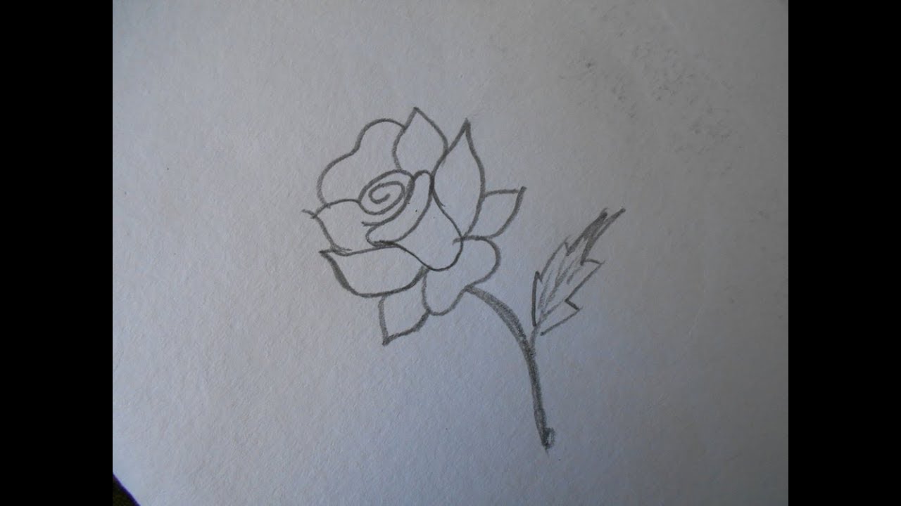 1280x720 how to draw a single rose in an easy way !! free hand drawing - Single Drawing