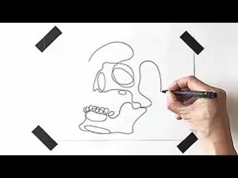 480x360 single line drawing - Single Drawing