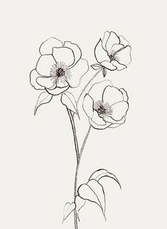235x322 the mega list of floral drawing tutorials inspire learn - Single Flower Drawing