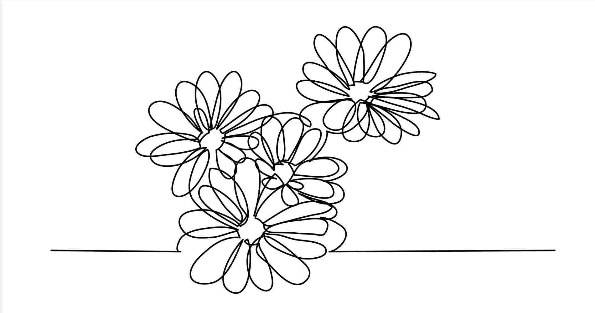 1900x1001 Pictures Of Flower Drawings Download Clip Art Rhclipartlibrarycom - Single Flower Drawing