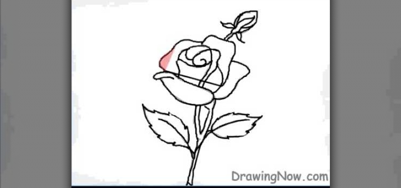 1280x600 How To Draw A Red Rose Flower - Single Red Rose Drawing