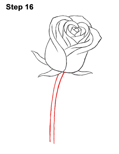 386x500 Huge Collection Of 'red Rose Drawing' Download More Than - Single Red Rose Drawing
