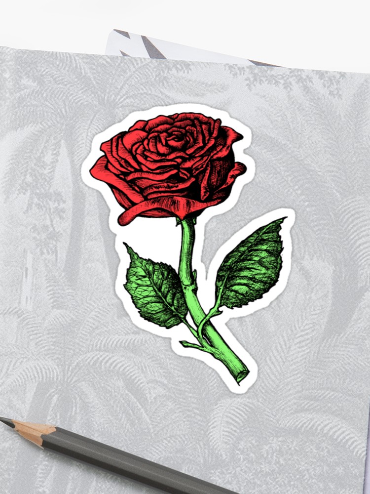 750x1000 single red rose sticker - Single Red Rose Drawing