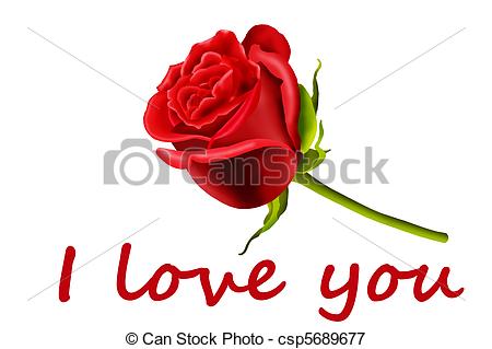 450x319 single red rose, i love you, isolated on a white background - Single Red Rose Drawing