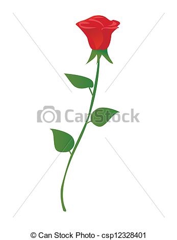 347x470 vector illustration of single red rose - Single Red Rose Drawing
