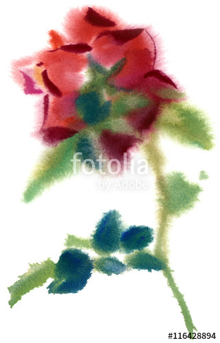 321x500 single red rose, watercolor, drawing on paper stock photo - Single Red Rose Drawing