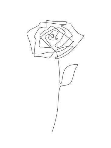 366x488 Single Rose Posters - Single Rose Drawing