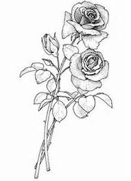 191x264 Single Rose Tattoo Drawing - Single Rose Drawing