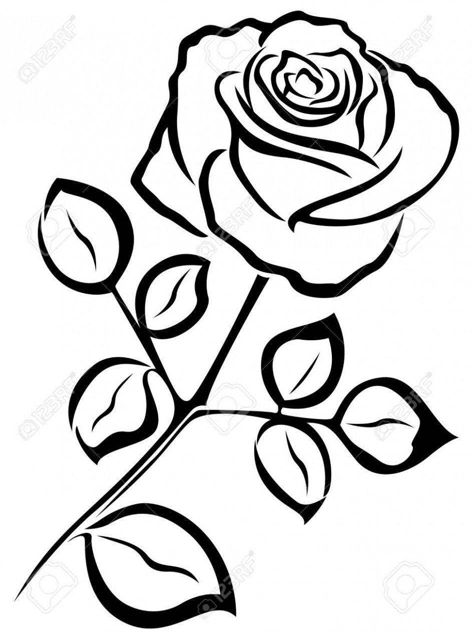 945x1261 Line Drawing Of Rose Flower Black Vector Outline Of Single Rose - Single Rose Drawing