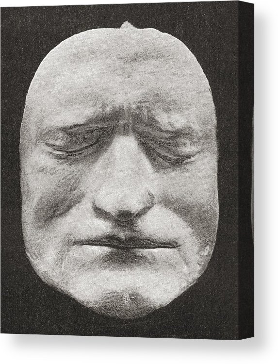 573x750 death mask of sir isaac newton, to canvas print canvas art - Sir Isaac Newton Drawing