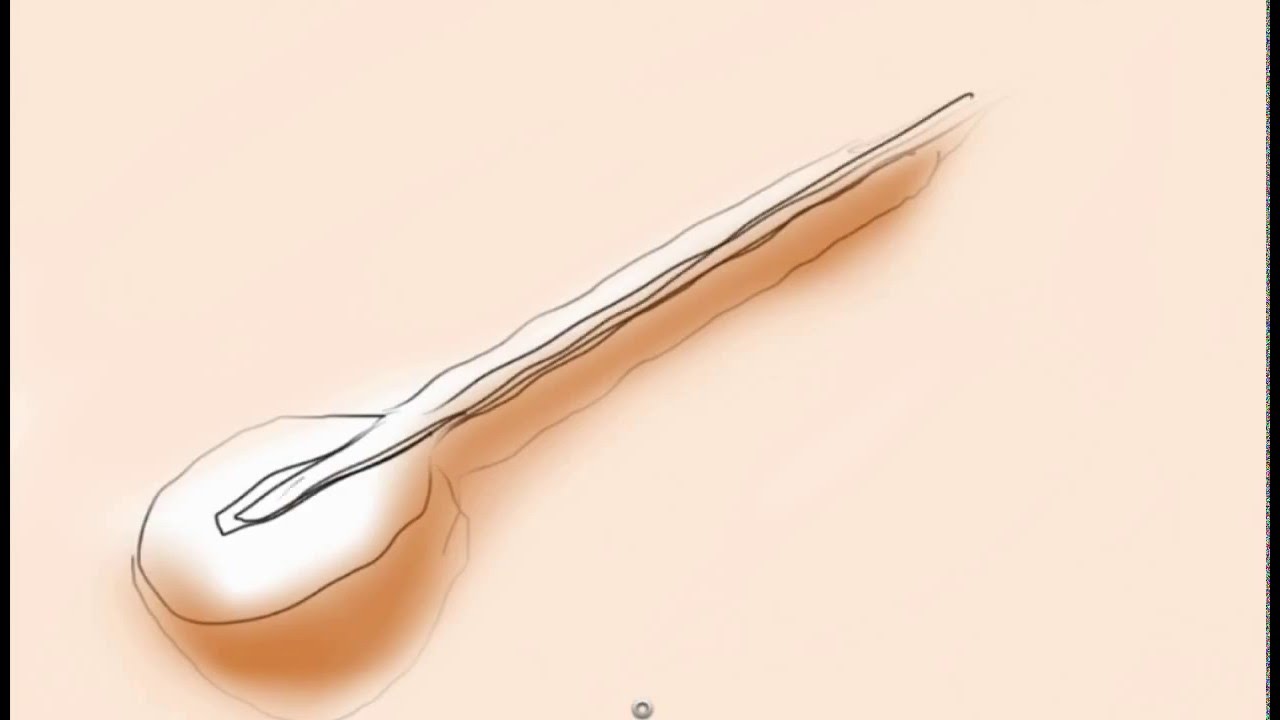 1280x720 Sitar Ke Raag With Indu First Look The Destined Eyes - Sitar Drawing