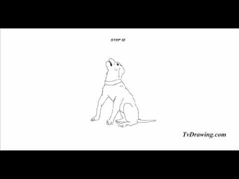 480x360 How To Draw A Simple Cartoon Dog Sitting Down Easy Step - Sitting Dog Drawing