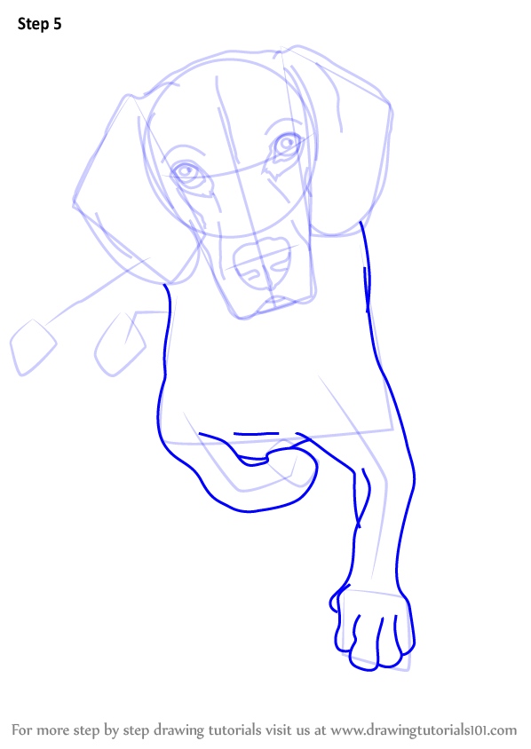 598x844 Learn How To Draw A Sitting Dog - Sitting Dog Drawing